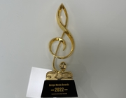 Stampa su ordinazione Logo Laser Engrave Text del trofeo d'argento della medaglia d'oro del metallo del ricordo